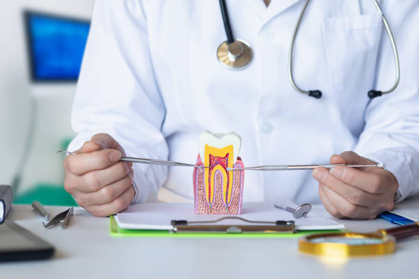 Best Emergency Dental Filling Replacement  in Washington Park, IL